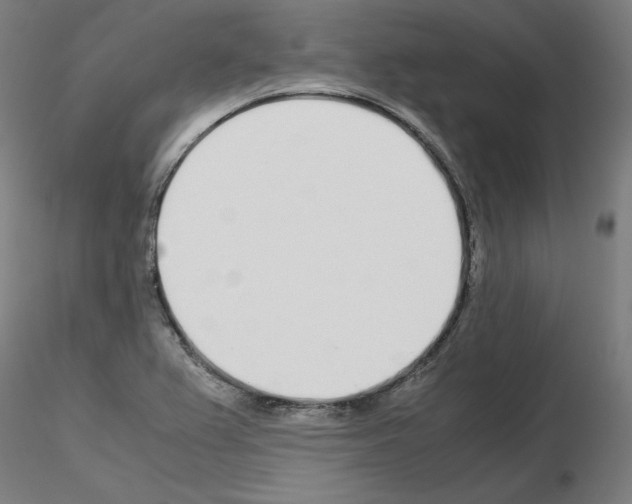 X0000115621367200912221219