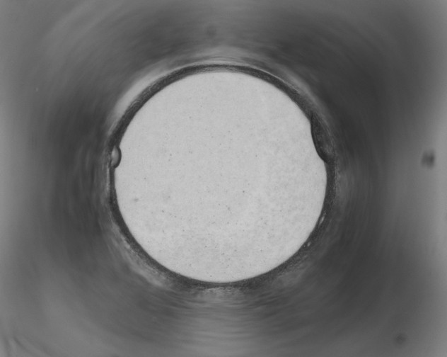 X0000115621368200912221219