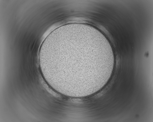 X0000115621370200912221219
