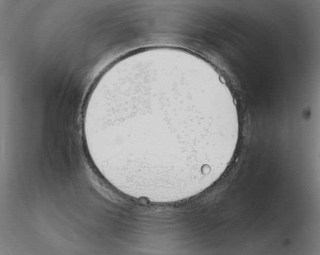 X0000115621372200912221219