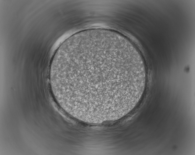 X0000115621373200912221219