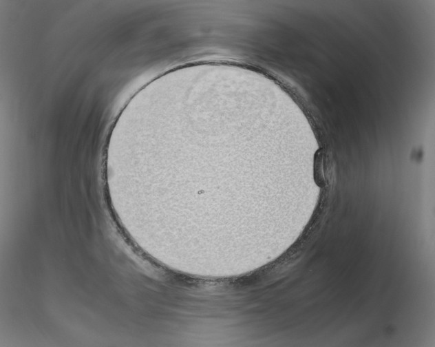 X0000115621375200912221219