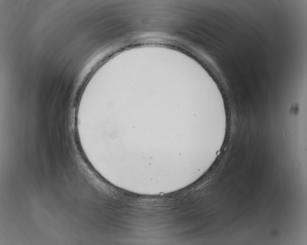 X0000115621376200912221219