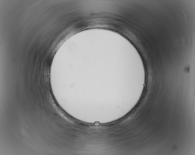 X0000115621377200912221219