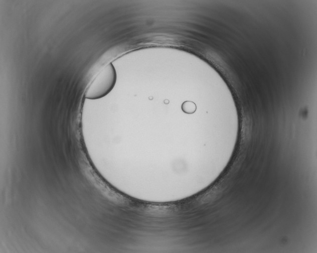 X0000115621378200912221219