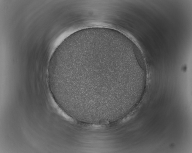 X0000115621381200912221219