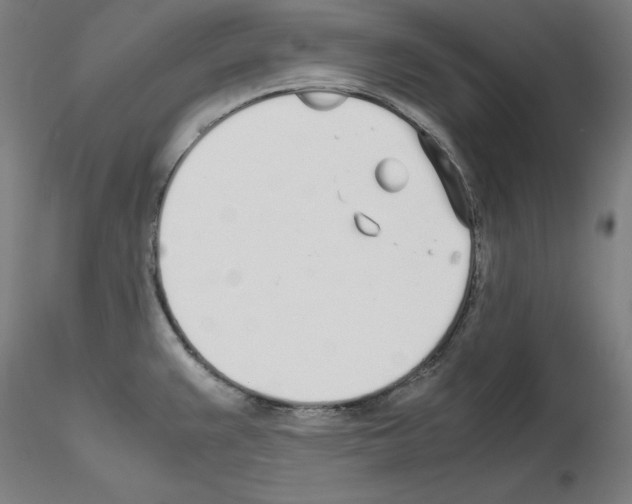 X0000115621383200912221219