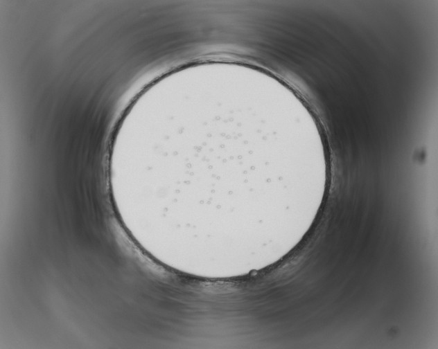 X0000115621384200912221219