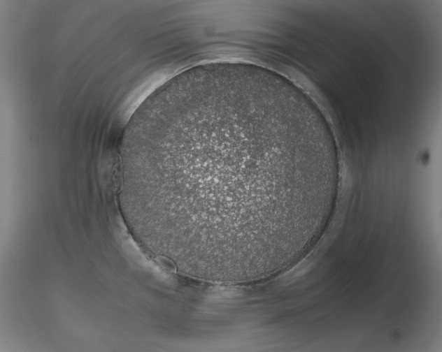 X0000115621385200912221219