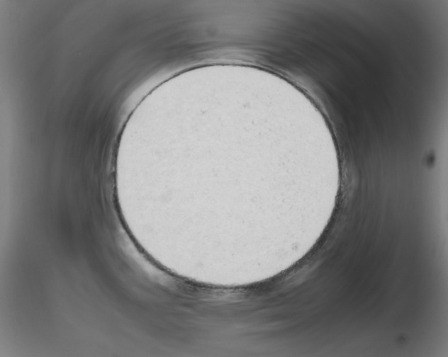 X0000115621387200912221219