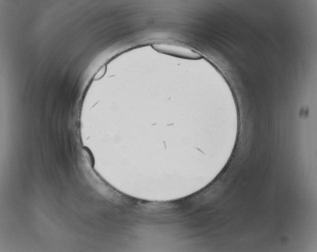 X0000115621392200912221219