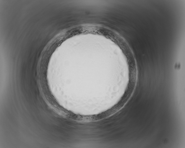 X0000115621393200912221218