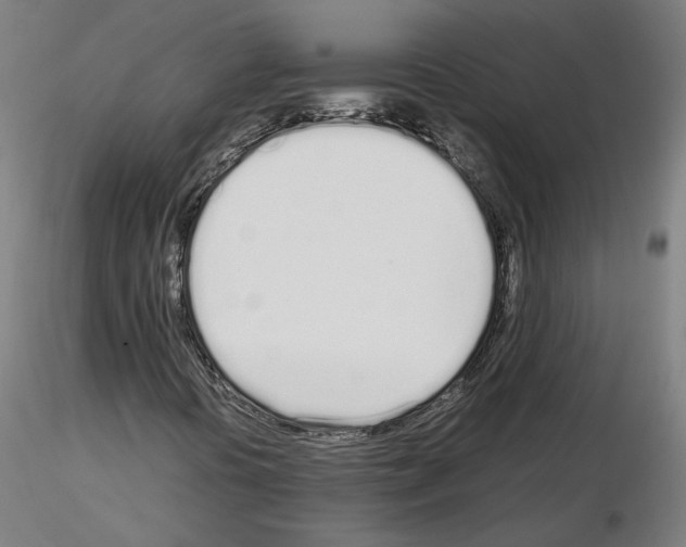 X0000115621394200912221218