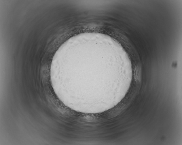 X0000115621395200912221218