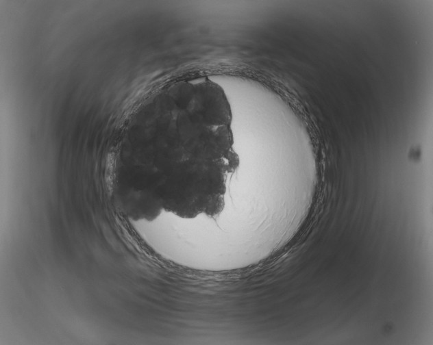 X0000115621396200912221218