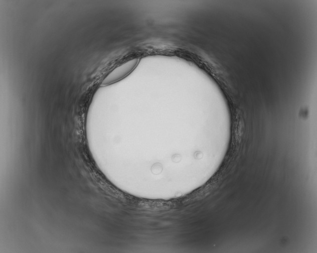 X0000115621397200912221218
