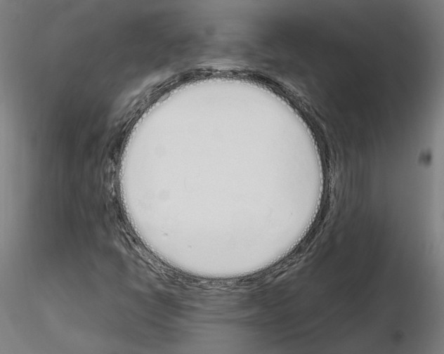 X0000115621398200912221218