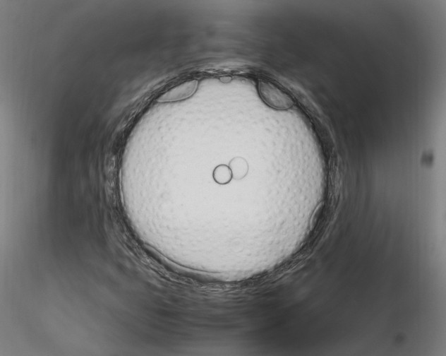 X0000115621399200912221218
