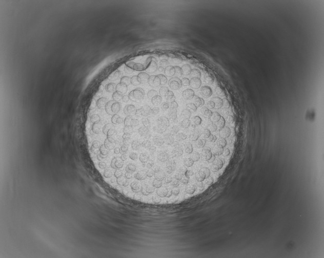 X0000115621400200912221218