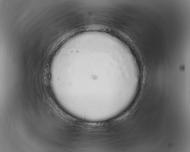 X0000115621401200912221218