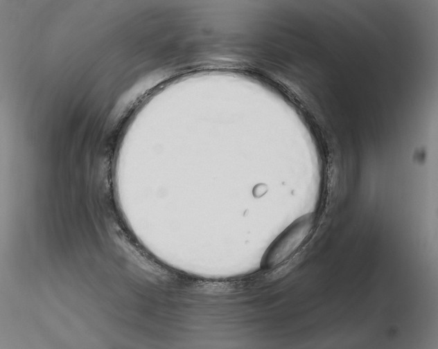 X0000115621402200912221218