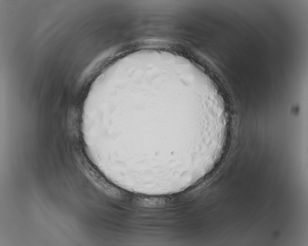 X0000115621403200912221218