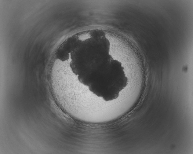 X0000115621404200912221218
