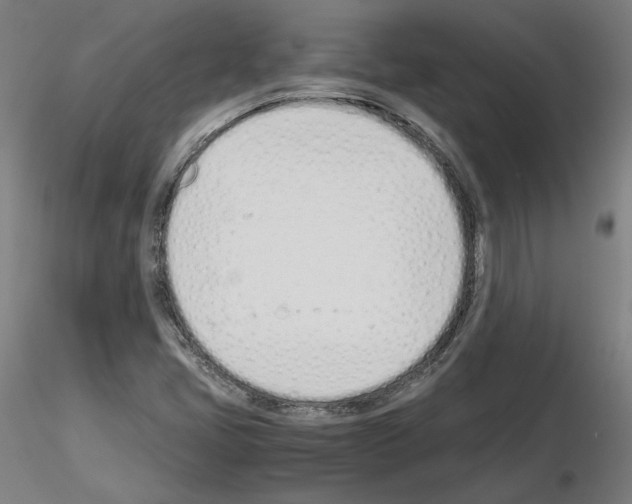 X0000115621405200912221218