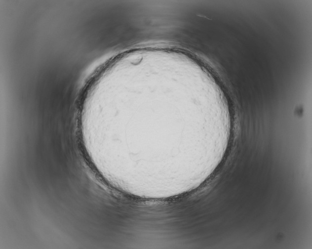X0000115621406200912221218