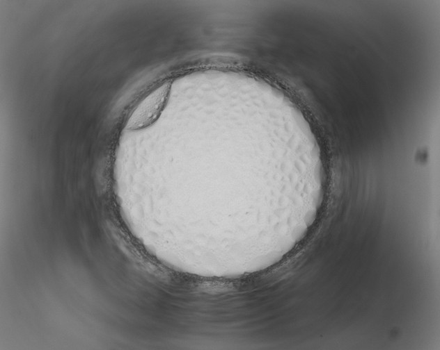X0000115621407200912221218