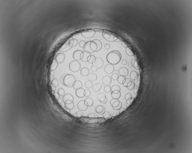 X0000115621408200912221218