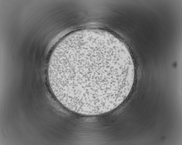 X0000115621410200912221218