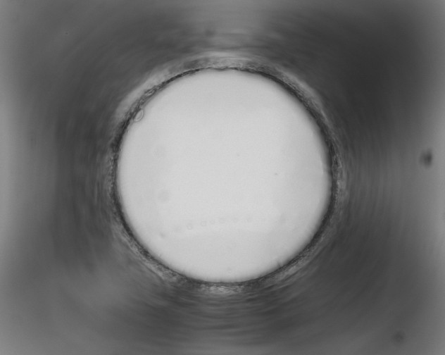 X0000115621411200912221218