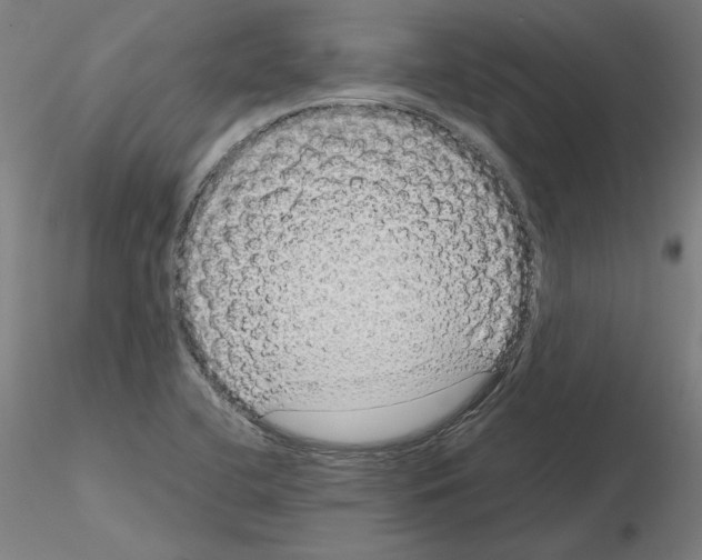 X0000115621412200912221218