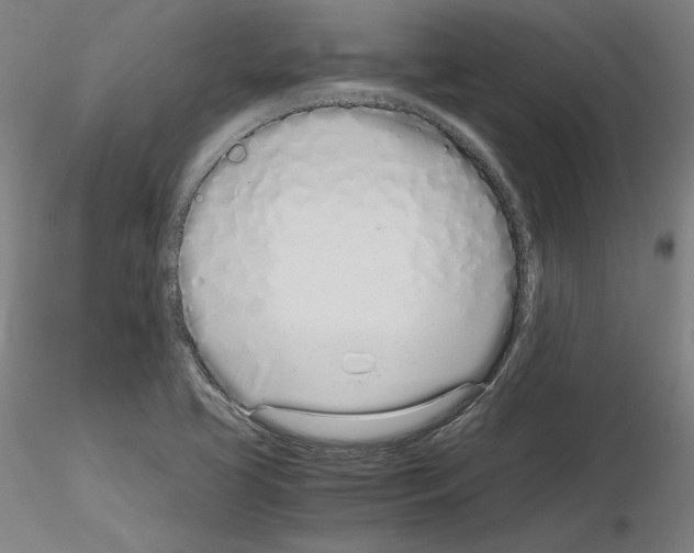 X0000115621413200912221218