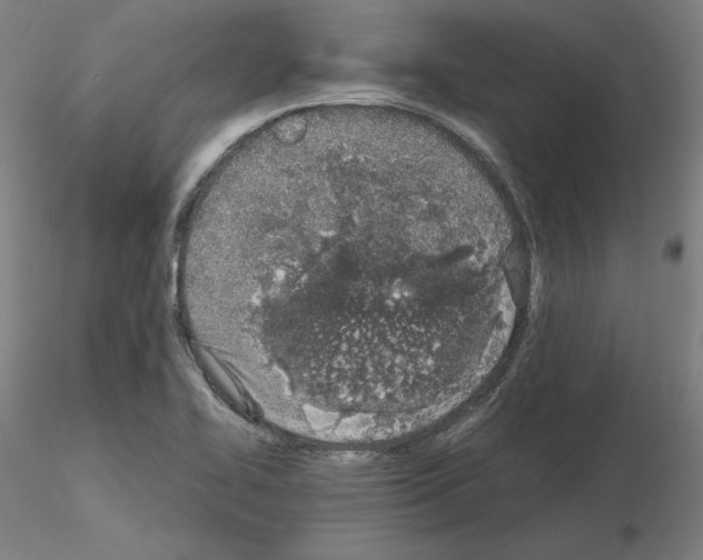 X0000115621414200912221218