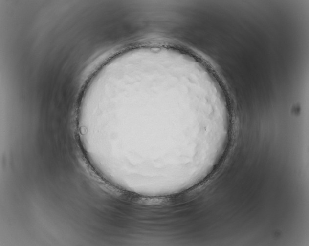 X0000115621415200912221218