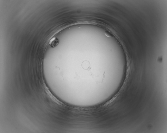 X0000115621417200912221218