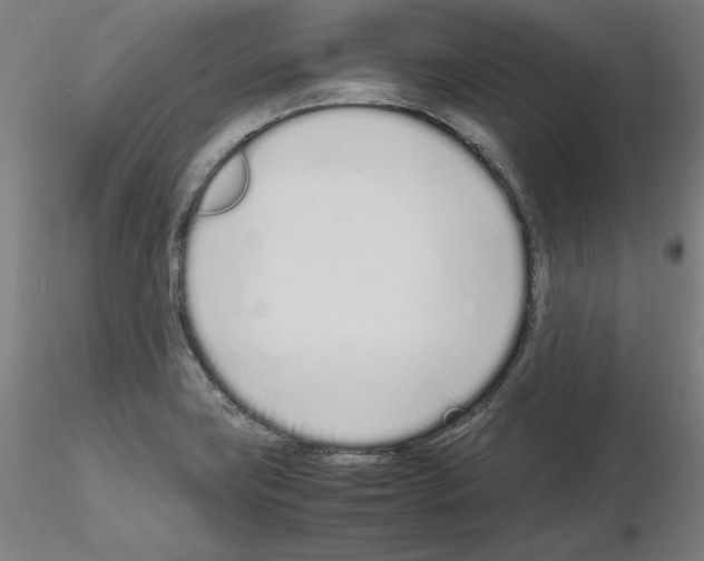 X0000115621419200912221219