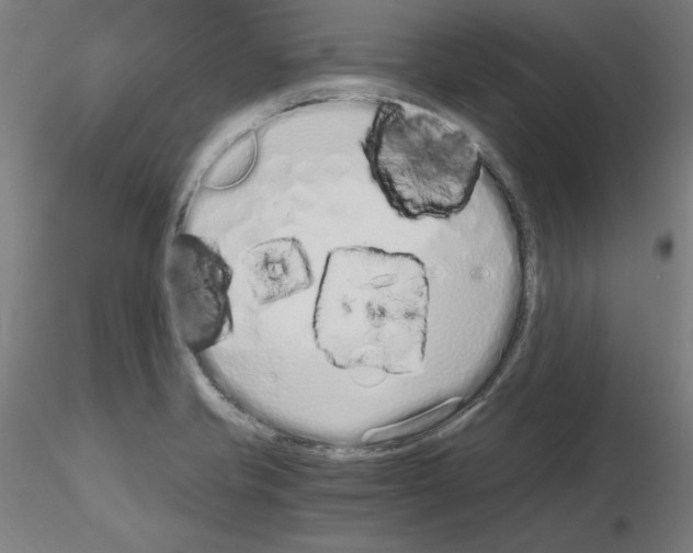 X0000115621421200912221219