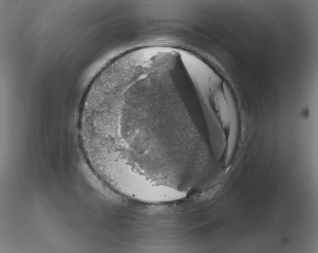 X0000115621422200912221219