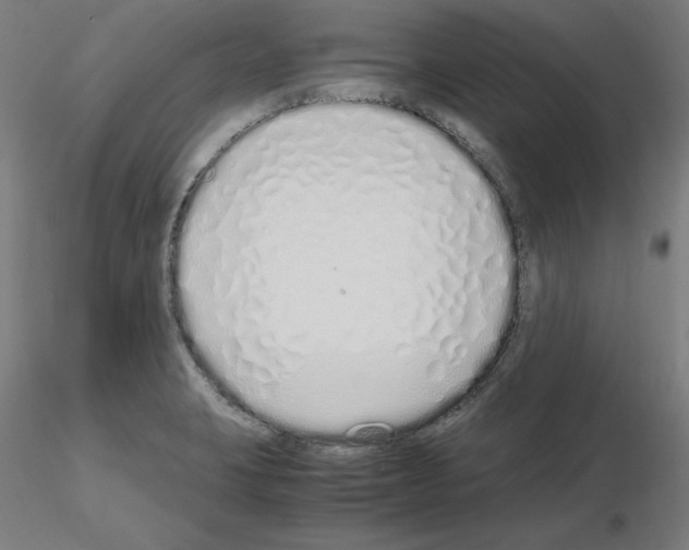 X0000115621423200912221219