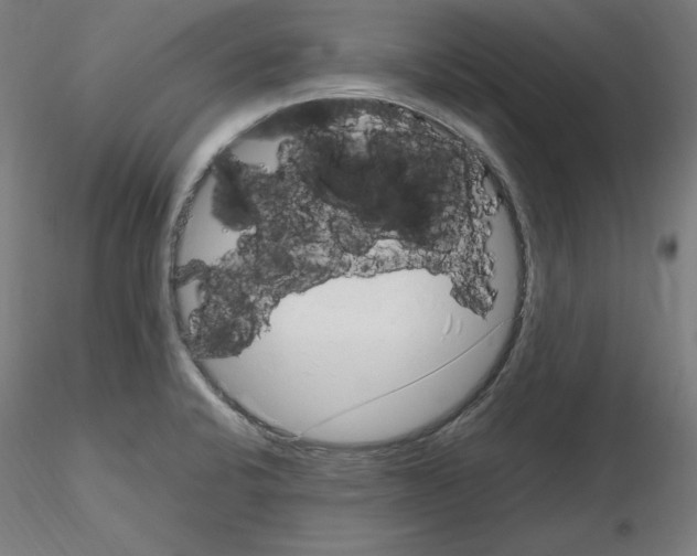 X0000115621424200912221219