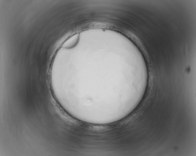 X0000115621427200912221219