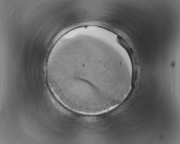 X0000115621428200912221219