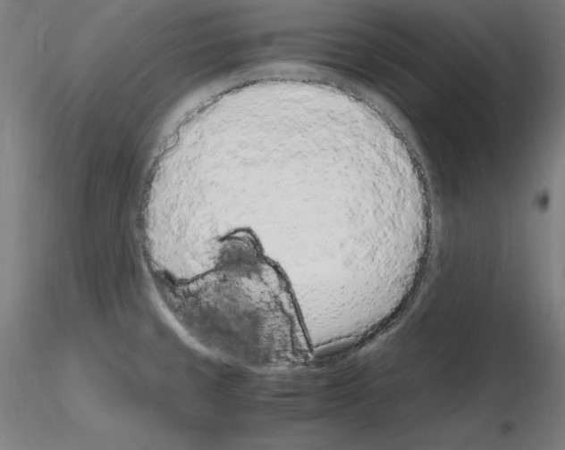 X0000115621429200912221219