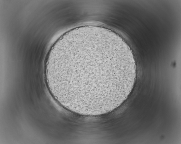 X0000115621430200912221219