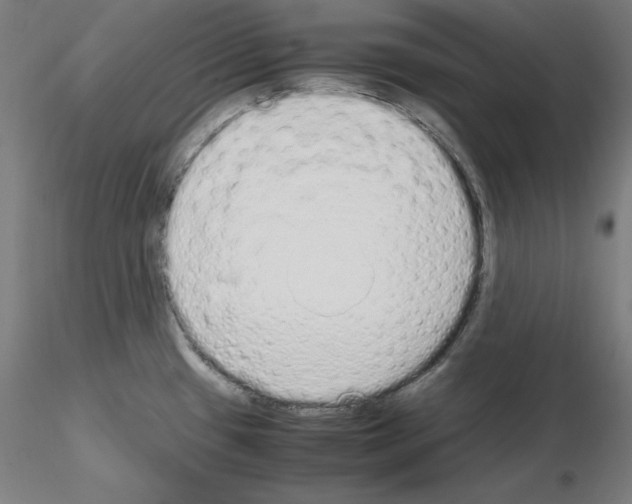 X0000115621433200912221219