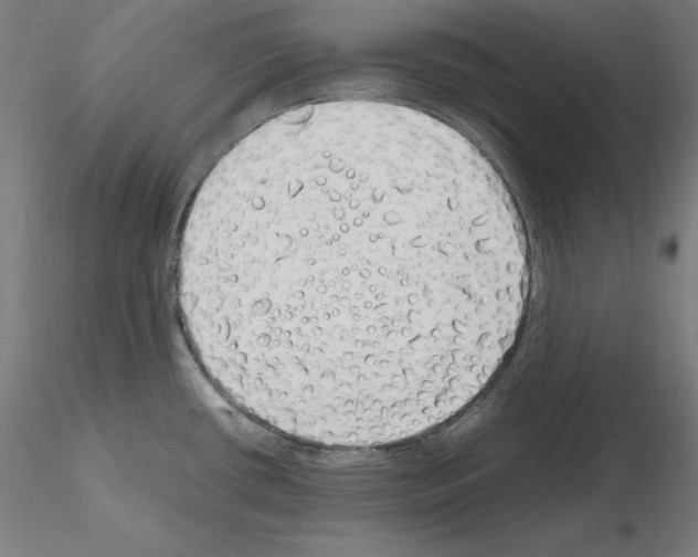 X0000115621434200912221219