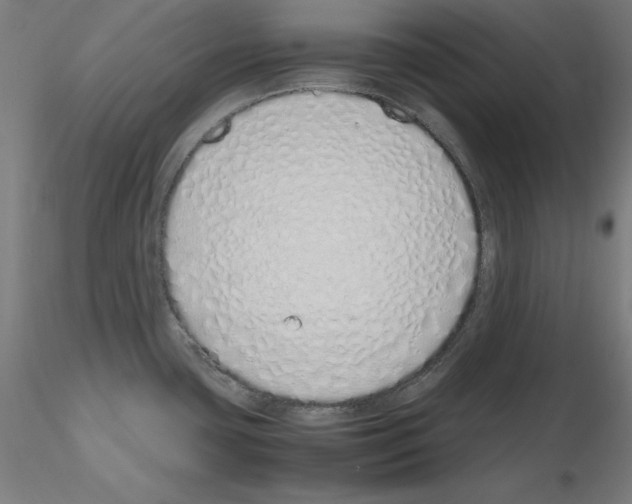 X0000115621435200912221219